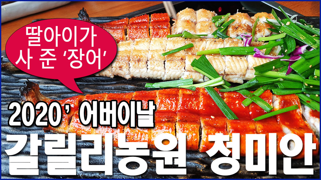 먹방-파주 갈릴리농원 청미안 장어구이/장어집/어버이날/홍대... 청미안 장어구이/장어집/어버이날/홍대 삵튀김/떡볶이/가족식사... 