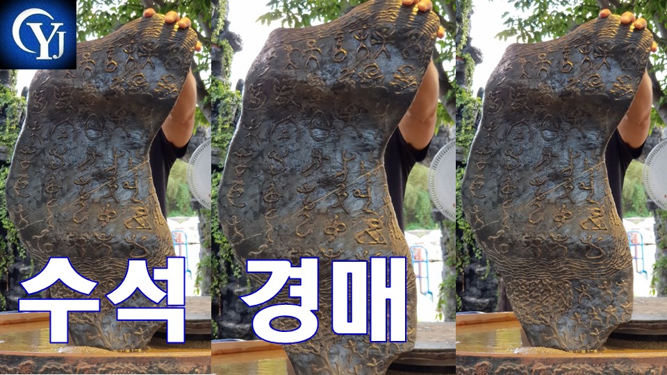 Ep.22 최고의수석 수석경매장 수석고르는법 수석가격 - kakaoTV 신기한 상형문자 수석 경매!!! Ep.22 최고의수석 수석경매장 수석고르는법... 