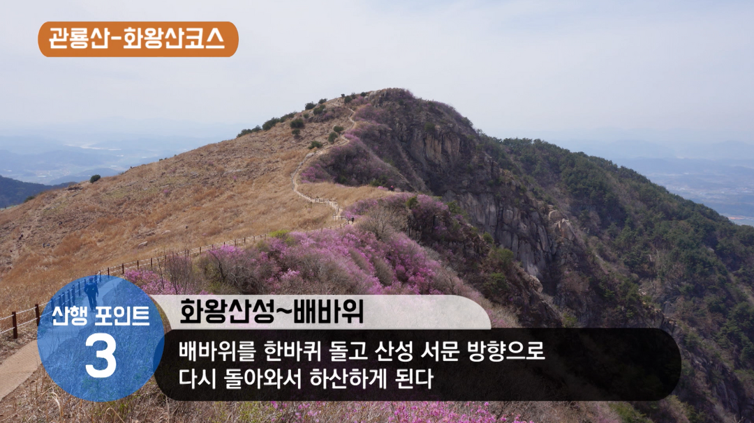 [창녕 화왕산] 진달래를 보려고 남쪽으로 가다 - kakaoTV [창녕 화왕산] 진달래를 보려고 남쪽으로 가다