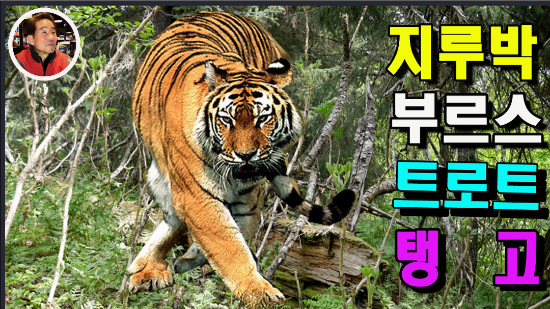 콜라텍사교댄스사교춤4개 5집 HD 홍보영상 720초연속재생 사교댄스 학원 - kakaoTV 콜라텍사교댄스사교춤4개 5집 HD 홍보영상... 