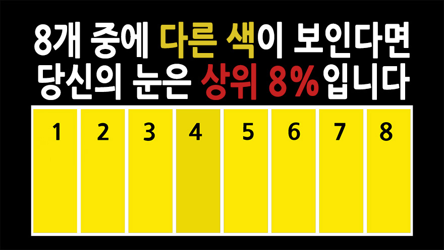 색감 시력 테스트 - 당신의 시력은 얼마나 좋은가요? - kakaoTV 색감 시력 테스트 - 당신의 시력은 얼마나 좋은가요?