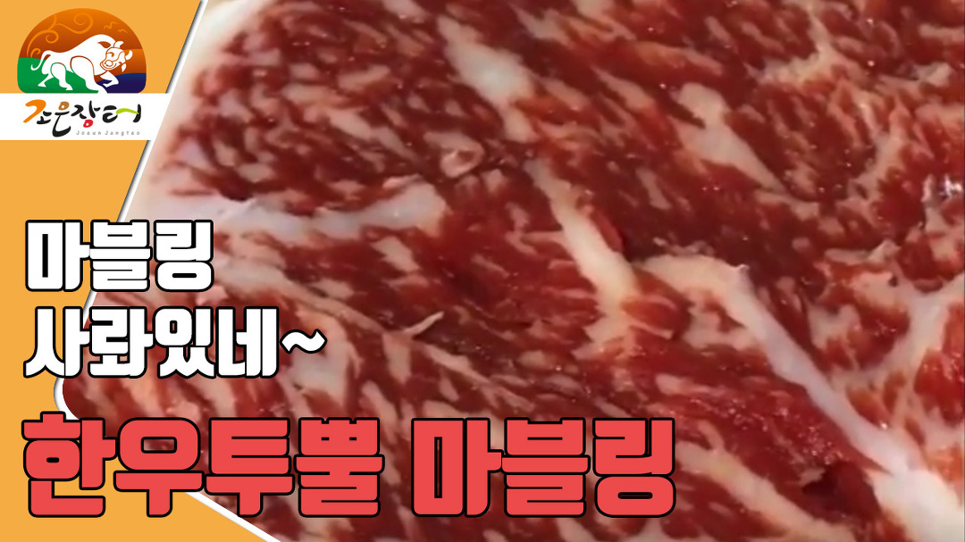 [한우장날] 조은장터 오늘잡은소 한우선물세트 - kakaoTV [한우장날] 조은장터 오늘잡은소 한우선물세트