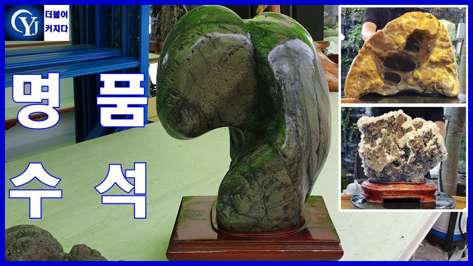 Ep.38수석경매장 최고의수석 명품수석 - kakaoTV 수석경매 전혀 손대지 않은 자연의 작품 명품 수석 낙찰? 유찰? Ep.38수석경매장 최고의수석... 