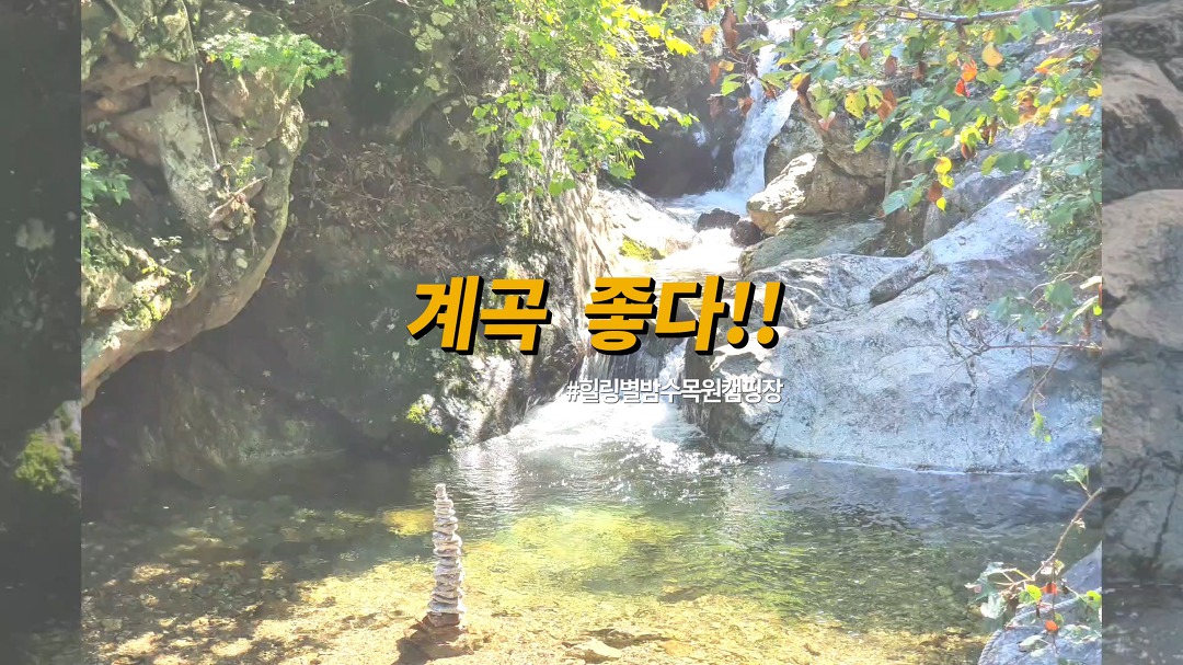 (주)수동자연마을 힐링별밤수목원캠핑장