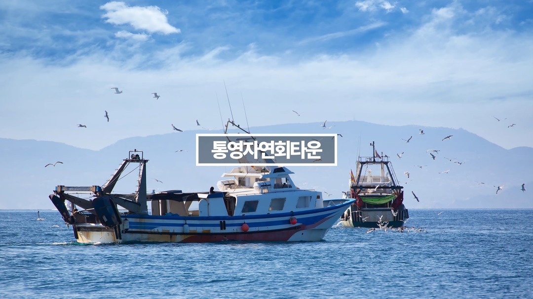 [우리동네지역정보] 통영자연회타운 통영회센터 자연산회 - kakaoTV [우리동네지역정보] 통영자연회타운 통영회센터 자연산회