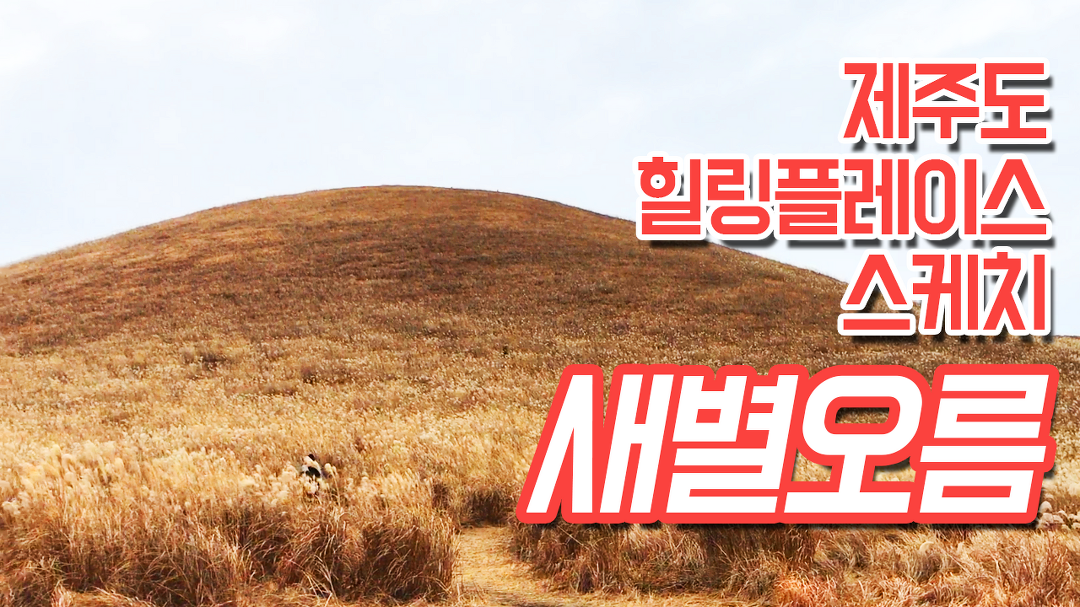 제주도 새별오름 힐링 스케치 - kakaoTV 제주도 새별오름 힐링 스케치
