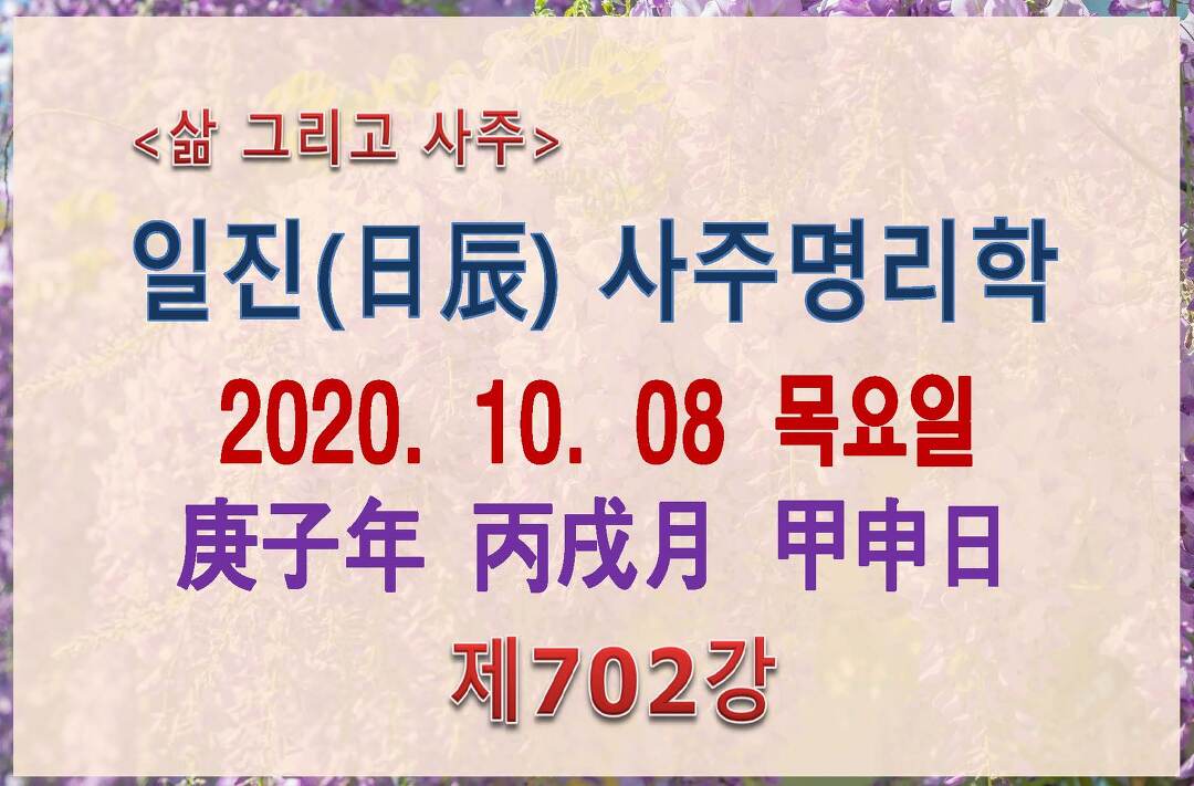 2020년 경자년 병술월 - kakaoTV