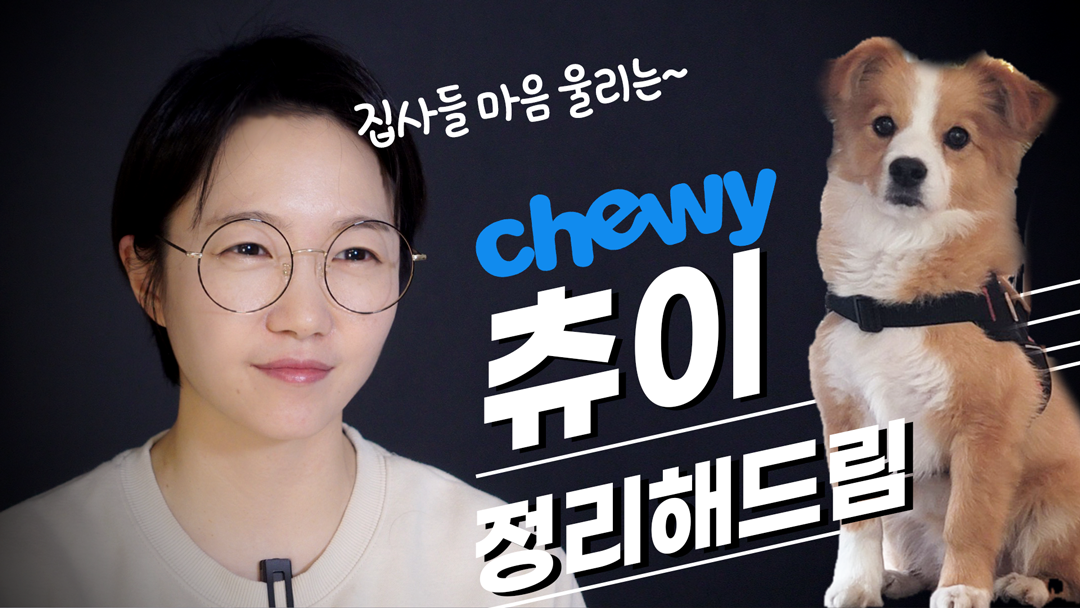 감성 200% 반려동물 업계의 아마존, 츄이 - kakaoTV 감성 200% 반려동물 업계의 아마존, 츄이