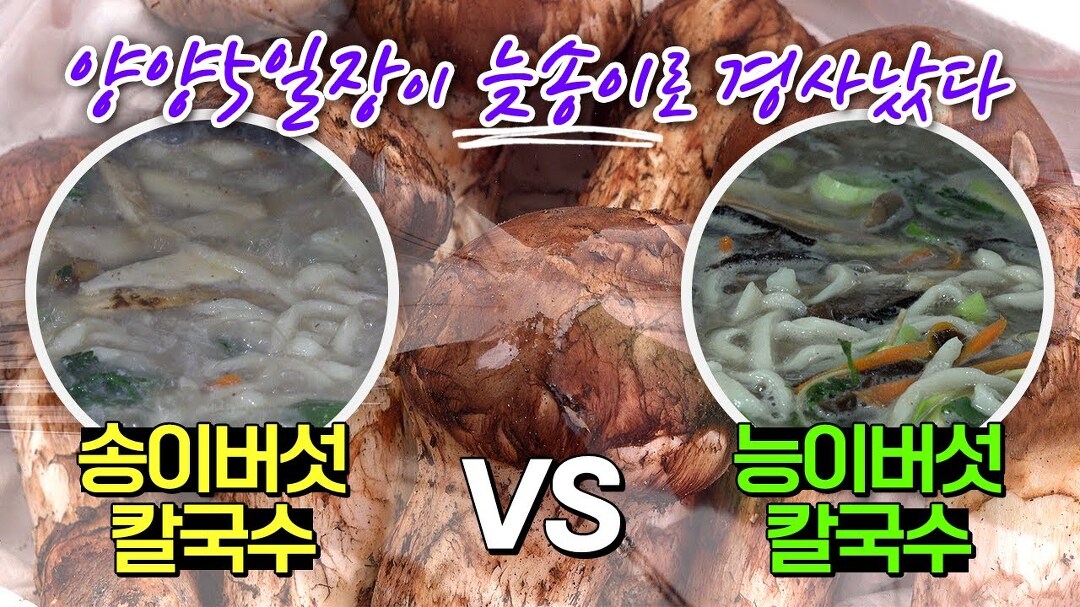 향과 맛이 기가 막히다는 양양의 늦송이 버섯 ! 두가지 버섯의 칼국수 대결 승자는? [ 양양5일장] - kakaoTV 향과 맛이 기가 막히다는 양양의... 