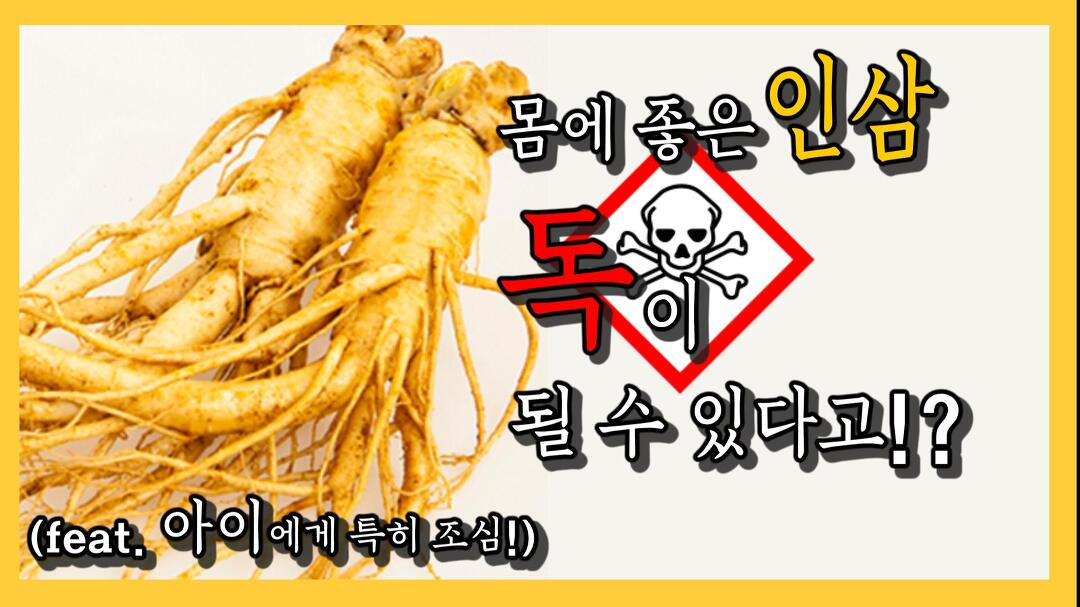 인삼바로알기 / 인삼효능 / 매일경제TV - kakaoTV 인삼바로알기 / 인삼효능 / 매일경제TV