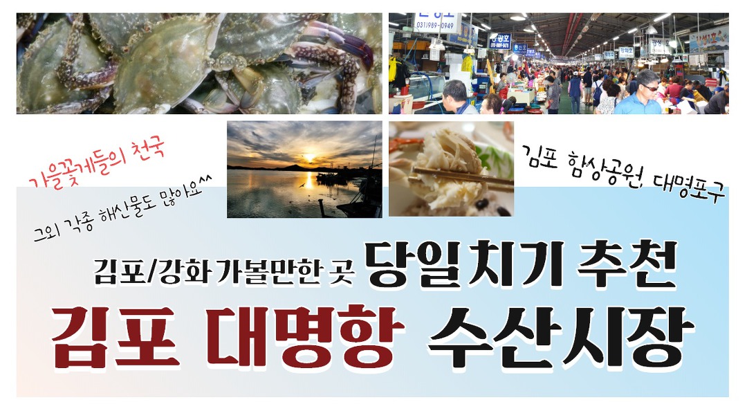 김포/강화도 여행에서 꼭 가봐야 하는 곳 : 김포 대명항 수산시장 꿀팁 대방출!!(쿠키영상: 김포함상공원) - kakaoTV 김포/강화도 여행에서 꼭... 
