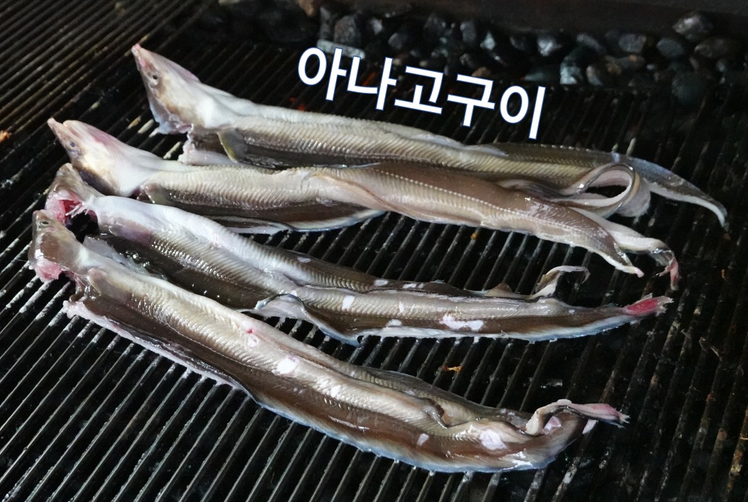 아나고구이 맛집, 태안 태안회센타 - kakaoTV 아나고구이 맛집, 태안 태안회센타