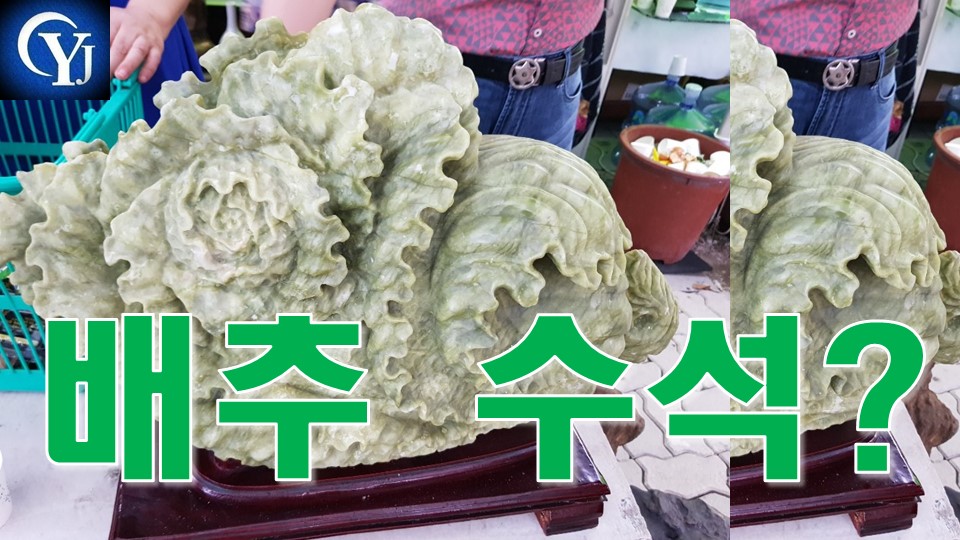 수석 경매!!!Ep.12 수석경매장 최고의수석 수석고르는법 수석가격 - kakaoTV 배추 옥석 낙찰 가격은? 수석 경매!!!Ep.12 수석경매장 최고의수석... 