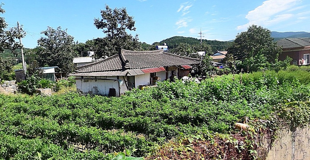 언양 집 경계 영상-0550 2020-06.14~2020.9.13 - kakaoTV 언양 집 경계 영상-0550    2020-06.14~2020.9.13