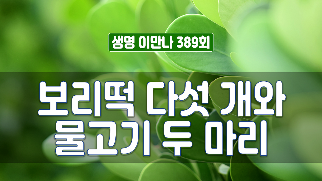 생명이만나 389회 - 보리떡 다섯 개와 물고기 두 마리 - kakaoTV 생명이만나 389회 - 보리떡 다섯 개와 물고기 두 마리
