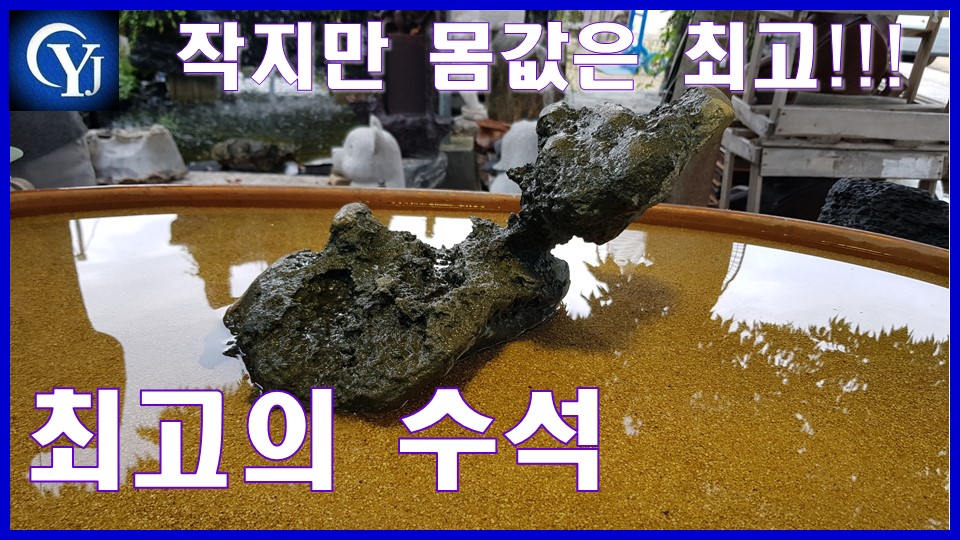 Ep.31 수석경매장 최고의수석 명품수석 - kakaoTV 수석경매 작지만 최고의 몸값 자랑하는 최고의 수석!!! 낙찰 가는? Ep.31 수석경매장... 