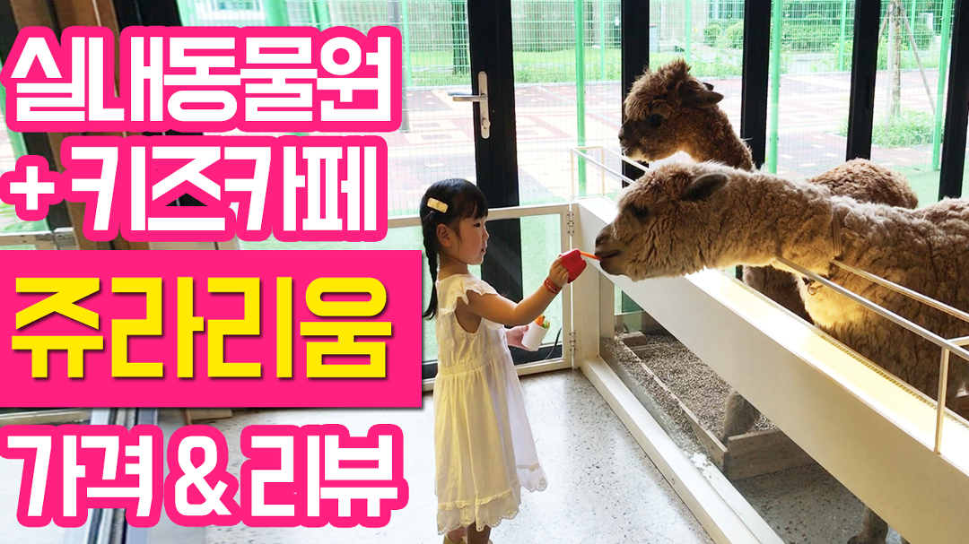 주렁주렁보다 다양한 체험이 가득한 하남 쥬라리움 실내동물원 키즈카페 방문기 - kakaoTV 주렁주렁보다 다양한 체험이 가득한 하남 쥬라리움... 
