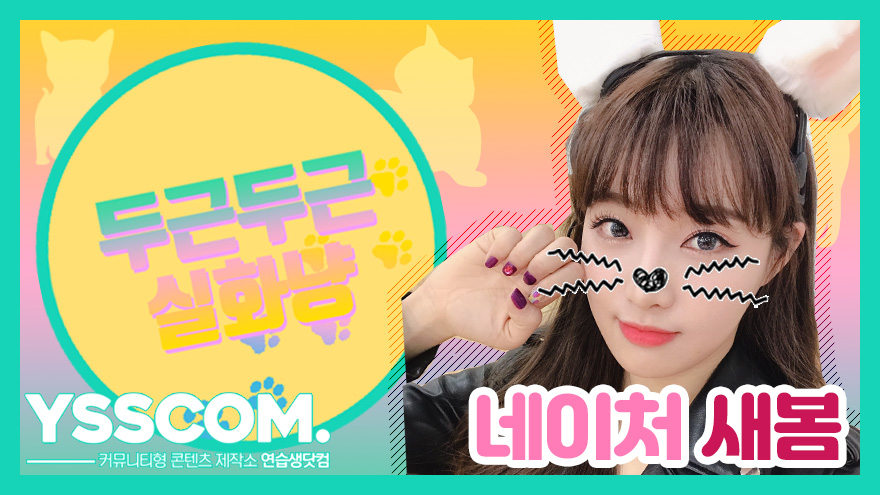 [두근두근 실화냥] 새봄이가 갑자기 의자에서 떨어진 이유는?! | 네이처(NATURE) 새봄 - kakaoTV [두근두근 실화냥] 새봄이가 갑자기... 