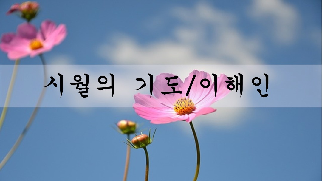 시월의기도, 10월의 시 - 이해인/좋은글 좋은시 - kakaoTV 시월의기도, 10월의 시 - 이해인/좋은글 좋은시