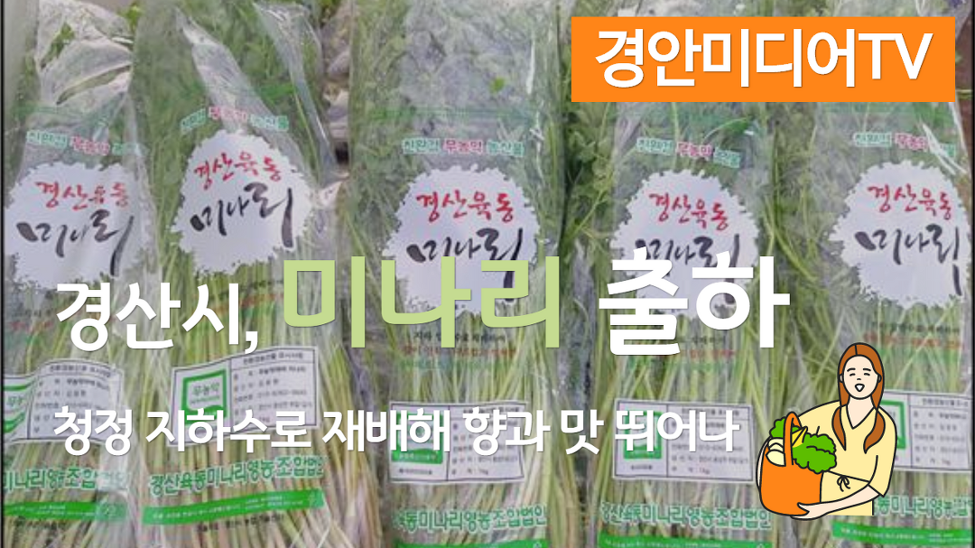 경산시 육동마을 미나리 최영조시장 경안일보 농한기 경안미디어TV 손중모기자 전유진기자 - kakaoTV 경산시 육동마을 미나리 최영조시장... 