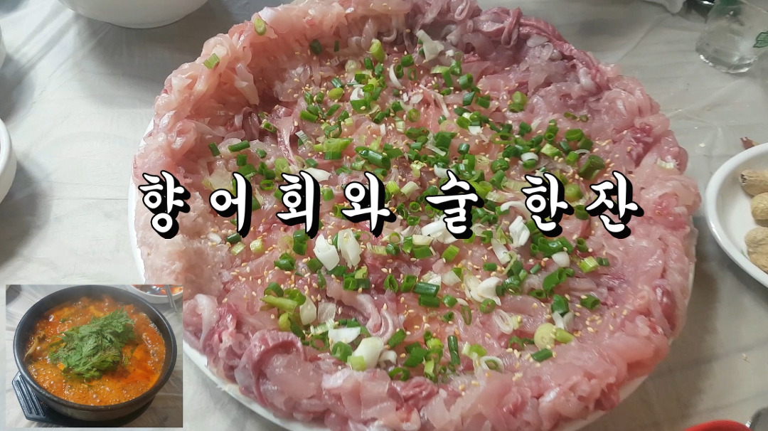 향어회와 술 한잔-진해 석동 땡까리 향어회 맛집 방문 - kakaoTV 향어회와 술 한잔-진해 석동 땡까리 향어회 맛집 방문