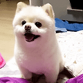 별나라모텔 이미지