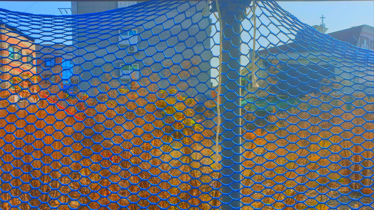~231029