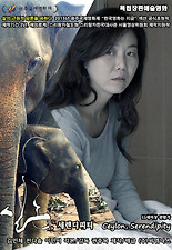 세렌디피티 이미지