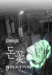 돈꽃 이미지