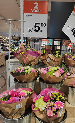 네덜란드 꽃값