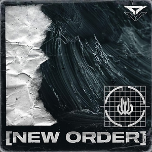 WITHOUT WARNING - NEW ORDER