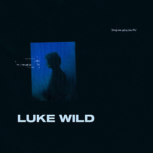 Luke Wild - Fever Brain