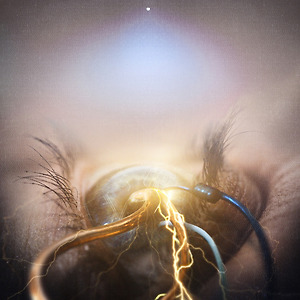 THE AGONIST - My Witness, Your Victim