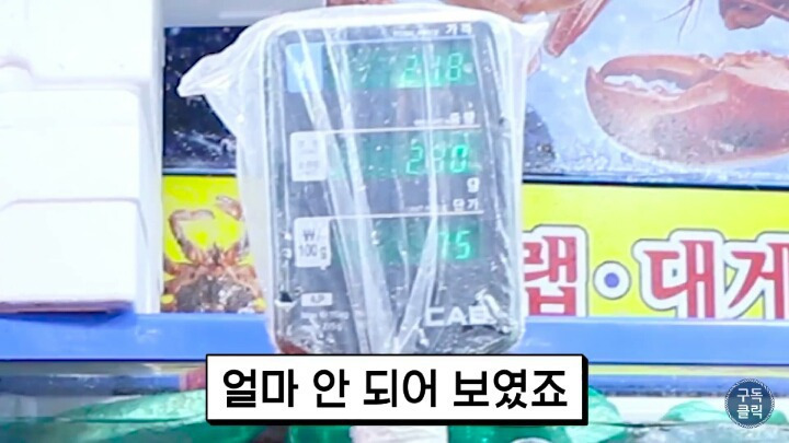 99E4C8405A81A12010D7D4