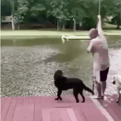 26DE7D33597F42FB239984