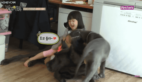 더블클릭을 하시면 이미지를 수정할 수 있습니다