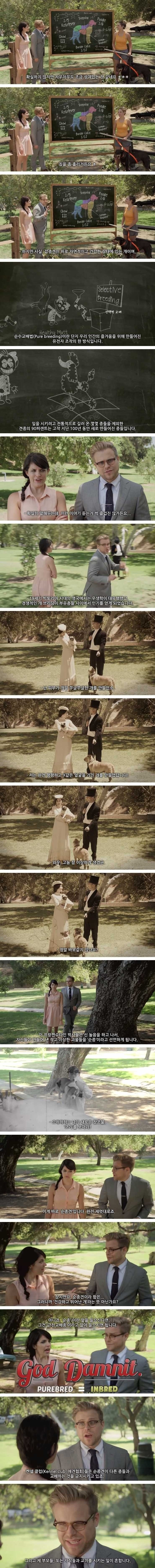 264B9D4B57AB51490F6000