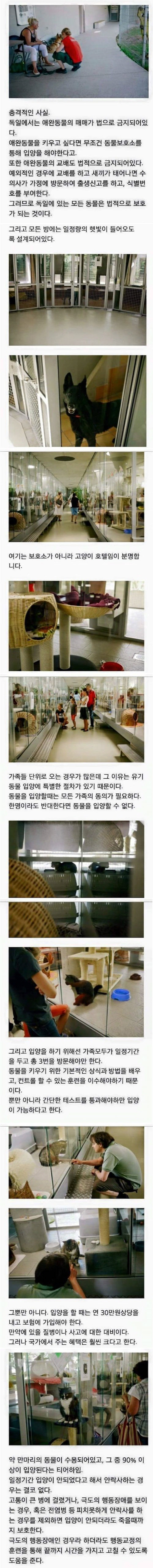 994419405C4B50E9048486