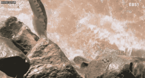 26609A465960BFC22898F1