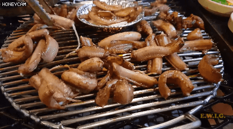 999ED04F5C6AAE20029817