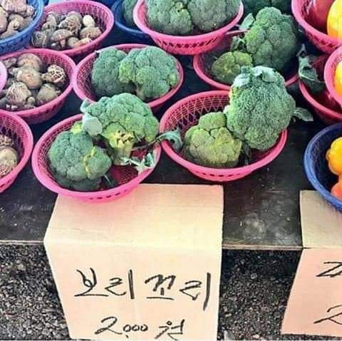 9984FE475B90EEFD1D92FD