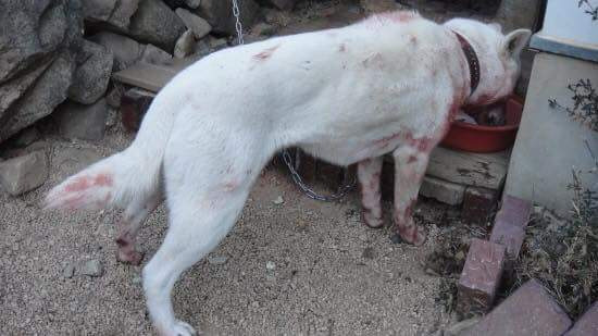 996AA2365B558E0C1FB971