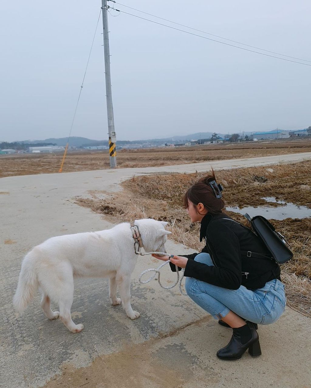 시골 댕댕이랑 유시아