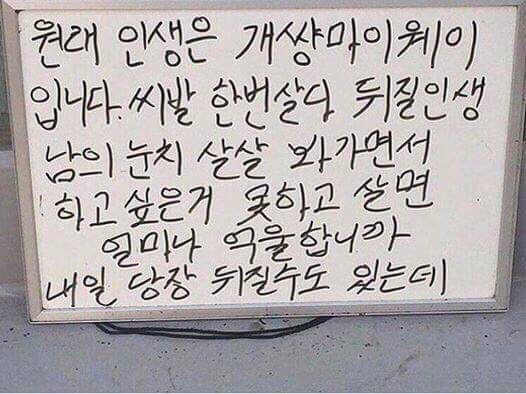 227C213E5894D75F302E59