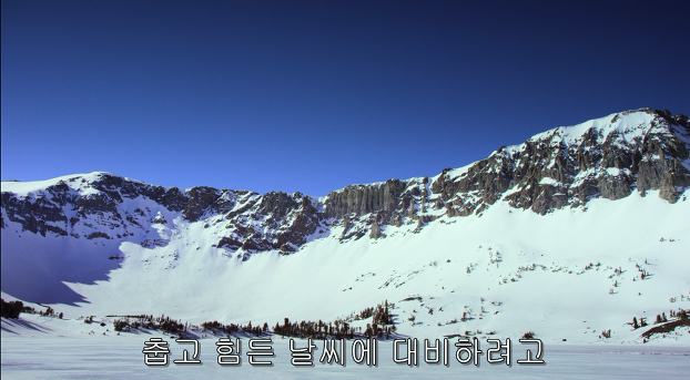 993AEE4D5C76B3AE04BA9B