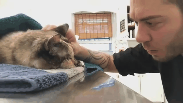 9906093C5CACA54B1C163C