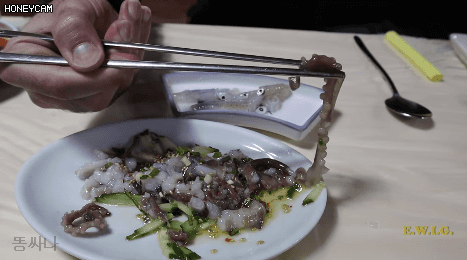 9978344F5C6AAE1A04946C