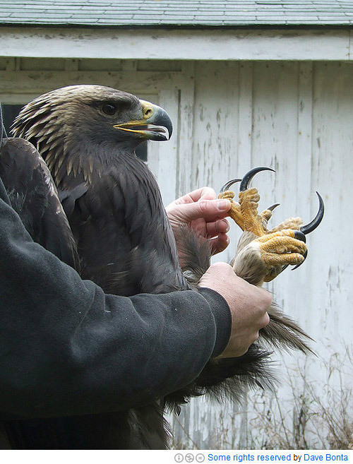 99B63C385C3C78C817BA79