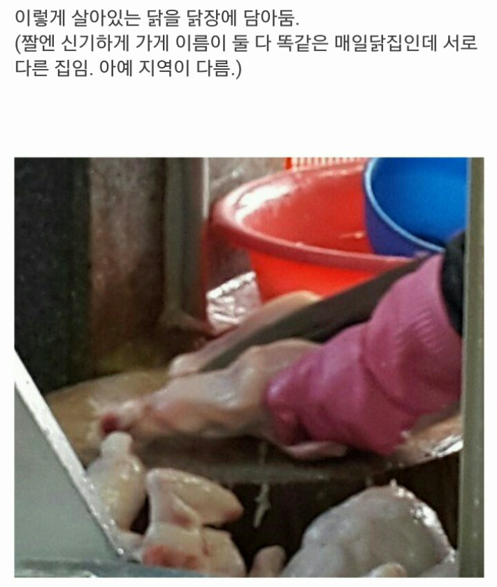 9904413F5B2B769F3259F4