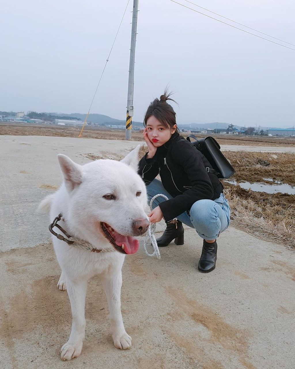 시골 댕댕이랑 유시아